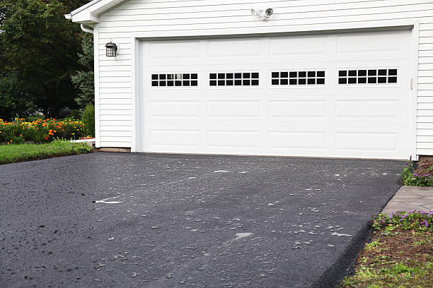 Best Dumpster Rental Services  in Lolo, MT
