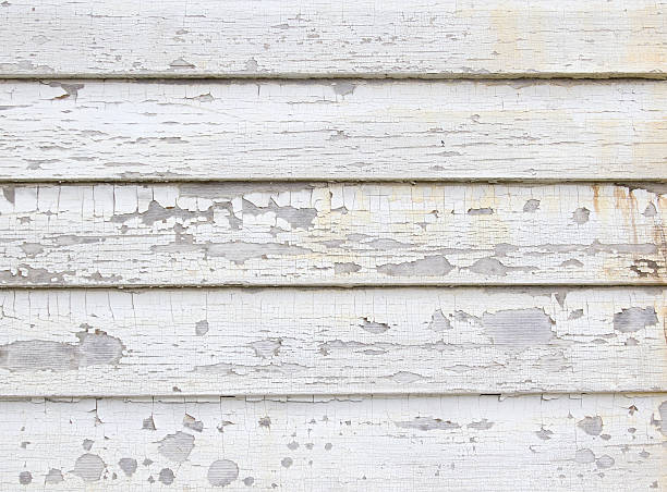 Best Same-Day Junk Removal Services  in Lolo, MT